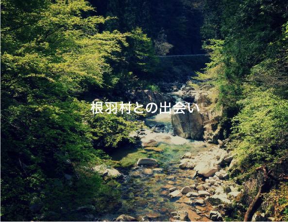 【公式】リアルウッドマーケット
